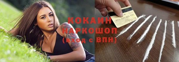 хмурый Няндома