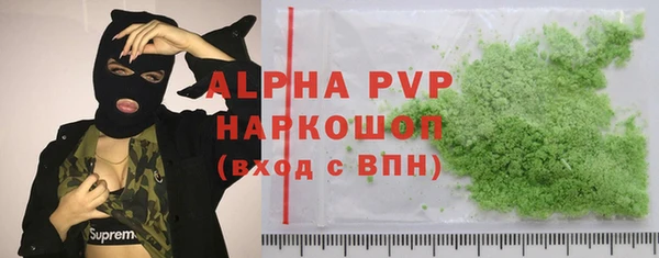хмурый Няндома