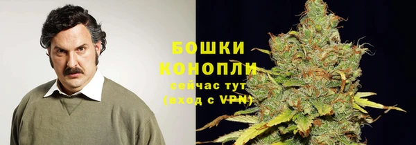 хмурый Няндома