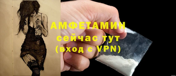 хмурый Няндома