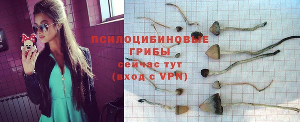 хмурый Няндома