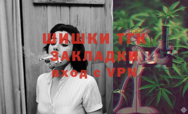 хмурый Няндома
