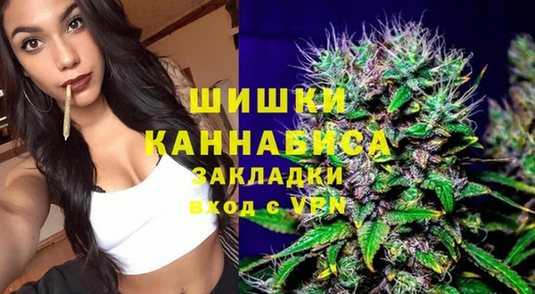 хмурый Няндома