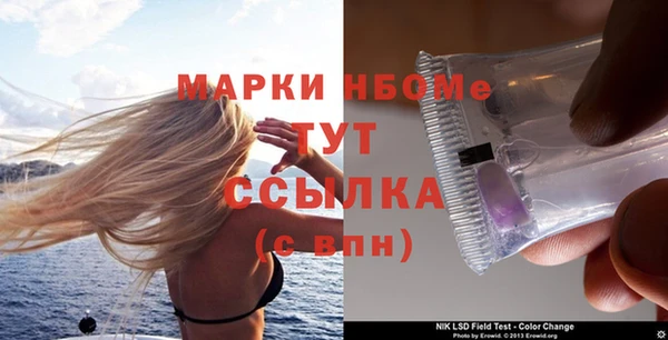 хмурый Няндома